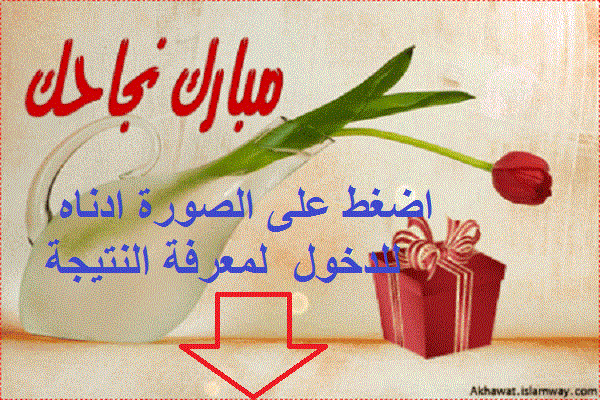 موقع نتائج الطلبة